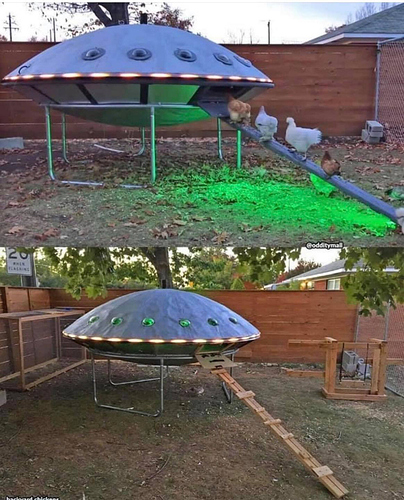 ToServePoultry