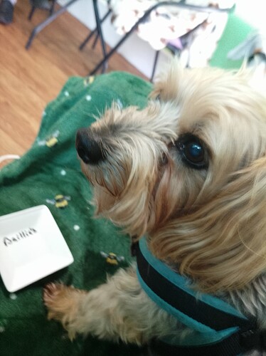 not spoilt