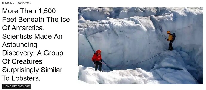 Antartican Lobsters