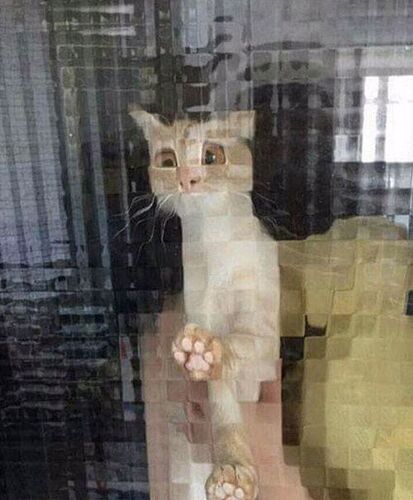 604