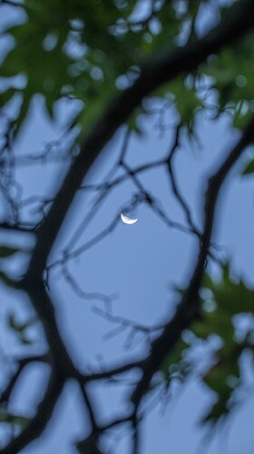 IMG_0123