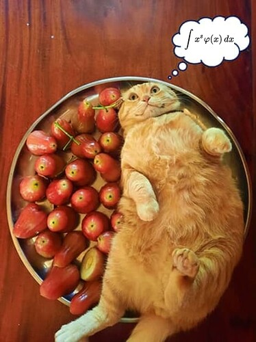 highhecepIQ kitty