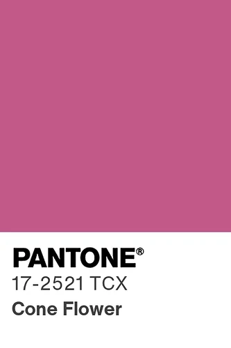 pantone-color-chip-17-2521-tcx