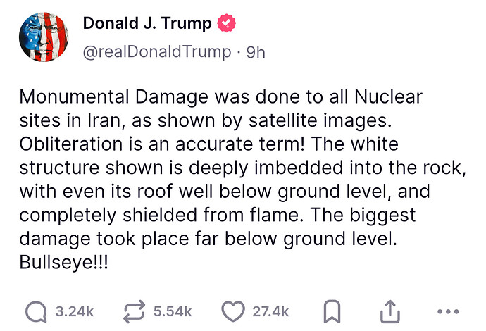1000011733