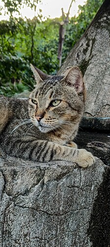 IMG_20250520_165016