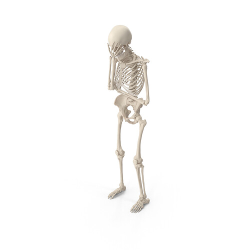 skeleton-facepalm-600x600