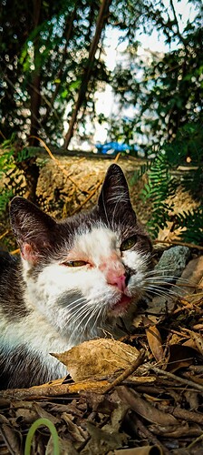 IMG_20250715_112953