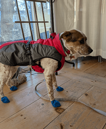 Boon in coat and boots