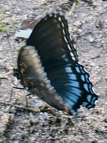20250702_190534