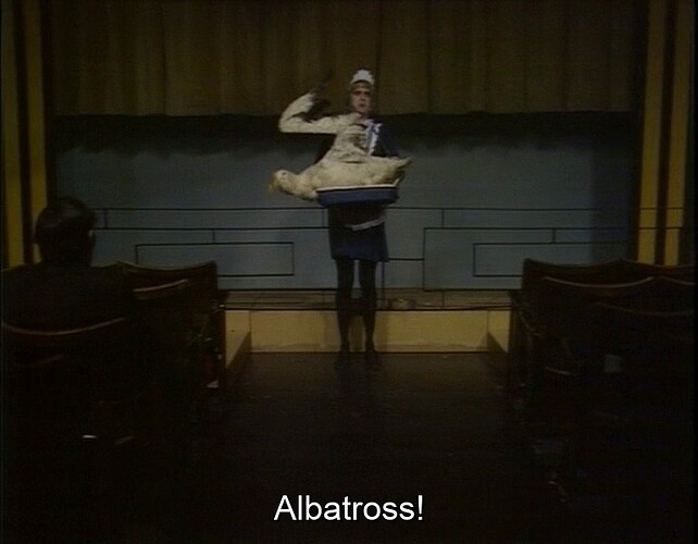 Albatross