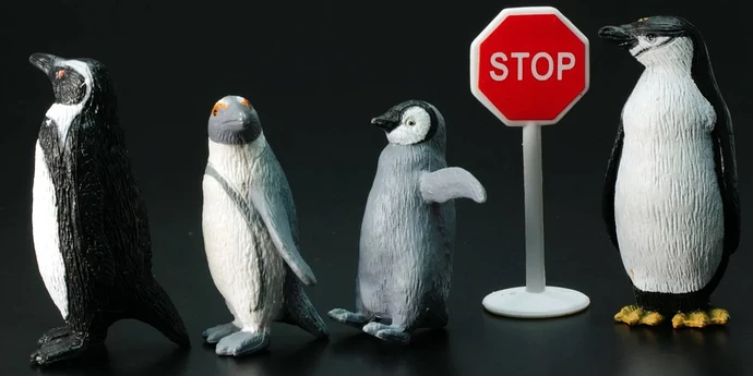 penguins_at_stop_sign_shutterstock