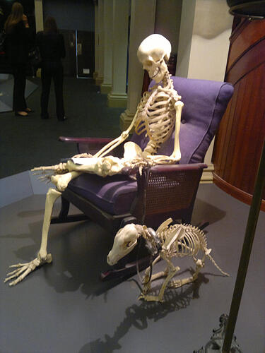 skeleton_in_sitting_chair_by_karlie_alinta-d4e2j74-3852371347