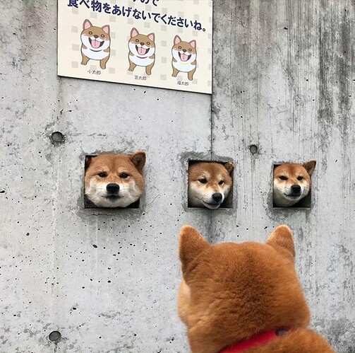 wlKXE0C