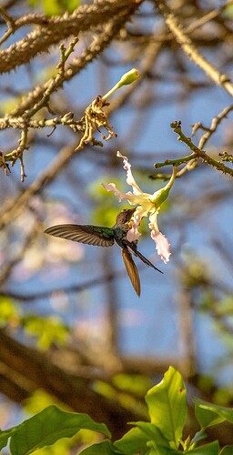 IMG_2382_edited