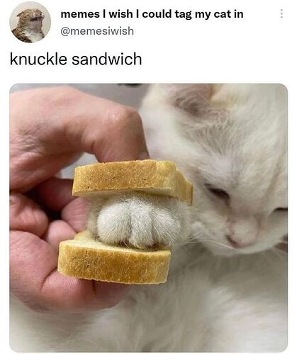 KnuckleSandwich