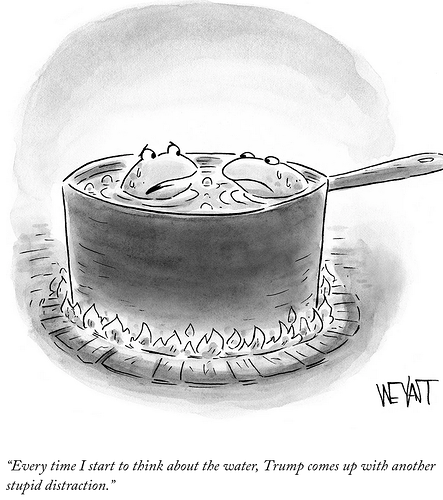 Screenshot 2025-05-31 at 09-13-45 Daily Cartoon Wednesday May 28th The New Yorker