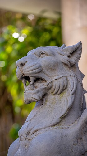 grifo