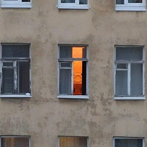 1000045079