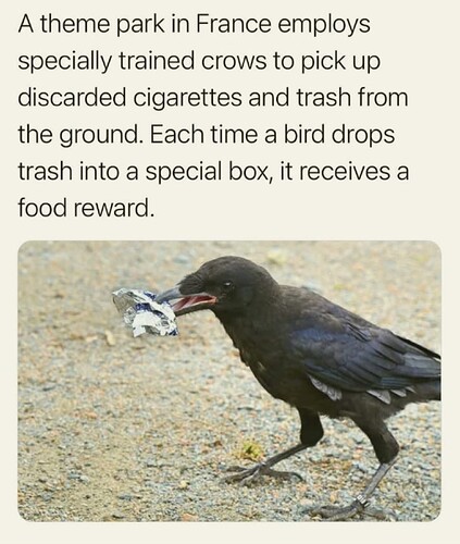 1000042298