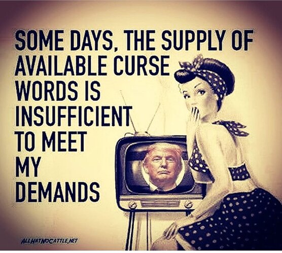 some days curse words insufficient meet demands