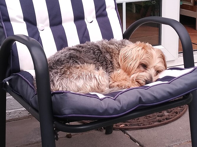 chairnicker