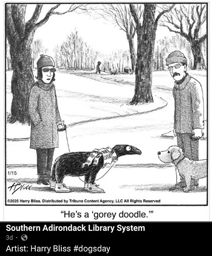 GDoodle IMG_8733