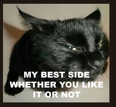 charismahecepcat