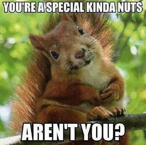 nuts