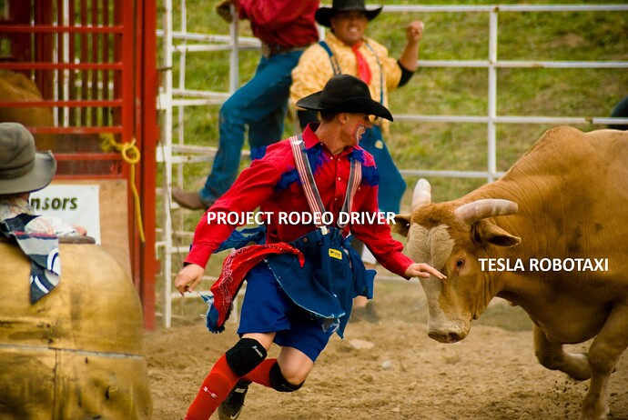 prjctheceprodeo