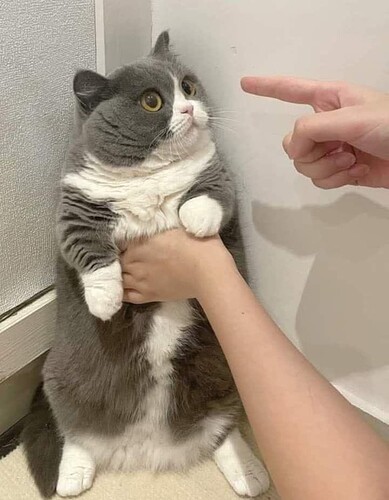 1000037987