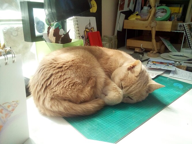 Biscuit on art table