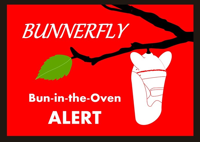 bunnerflyhecep