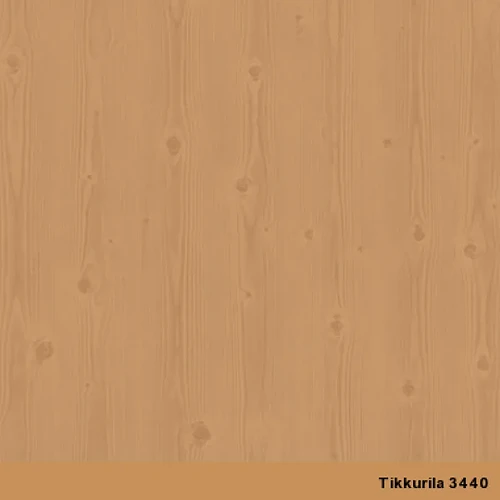 1000028204