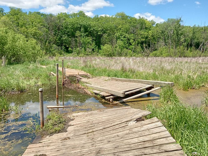 floating boardwalk.IMG_20250522_140521740_HDR