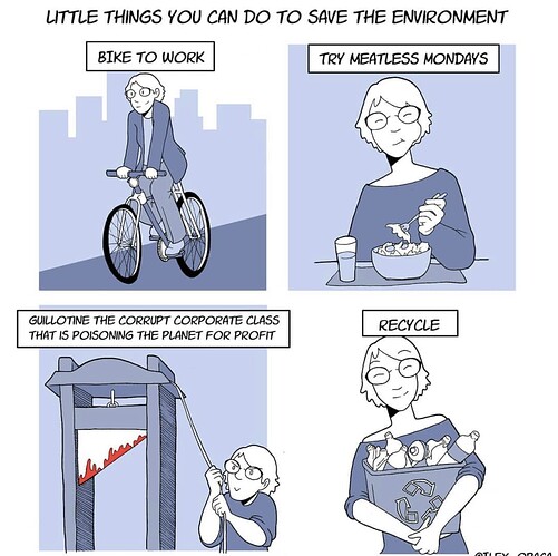 environmentalism