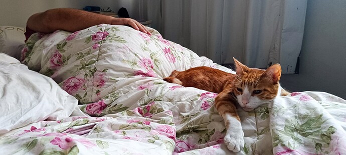 bedtime