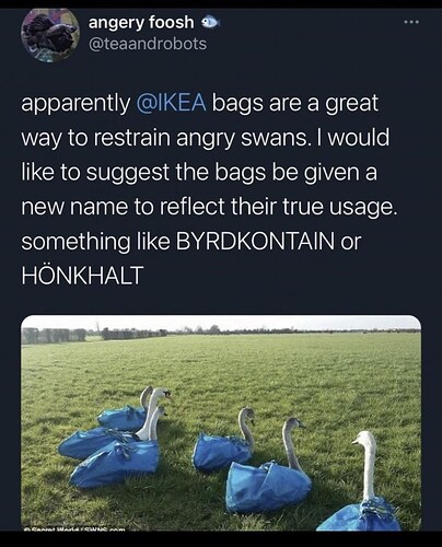 like-suggest-bags-be-given-new-name-reflect-their-true-usage-something-like-byrdkontain-or-hönkhalt