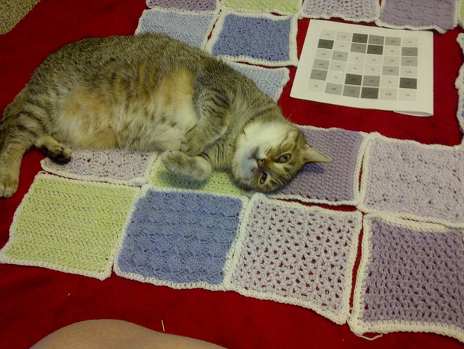shorty and blanket