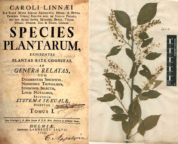 Species_plantarum-Compo-3624344086