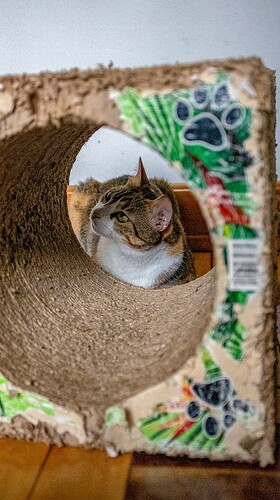 tunel
