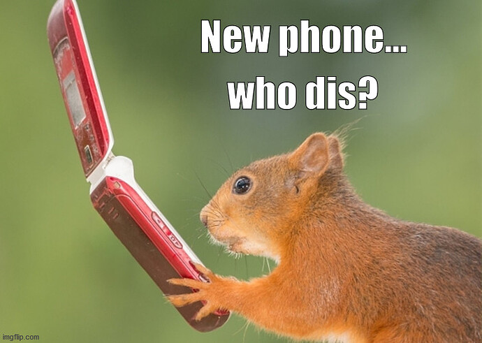 New Phone, Who Dis, Squirrel