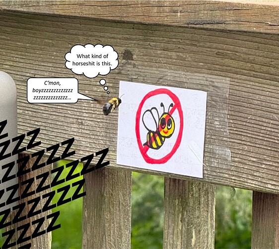 badhecepbees