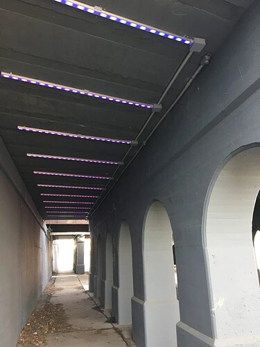 'Light Bender' 3rd Ave Detroit 1-1000x1333