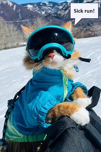 skihecepkitty