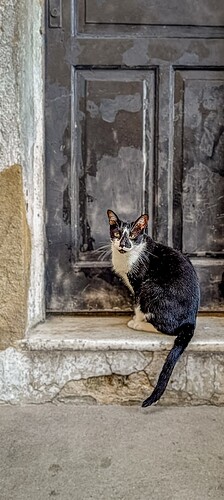 IMG_20250526_105838