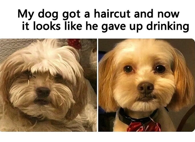1000045099