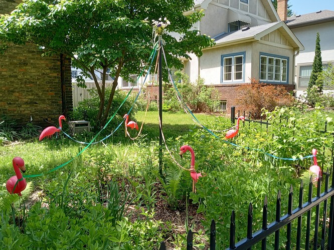 Maypole.IMG_20250523_124405553_HDR