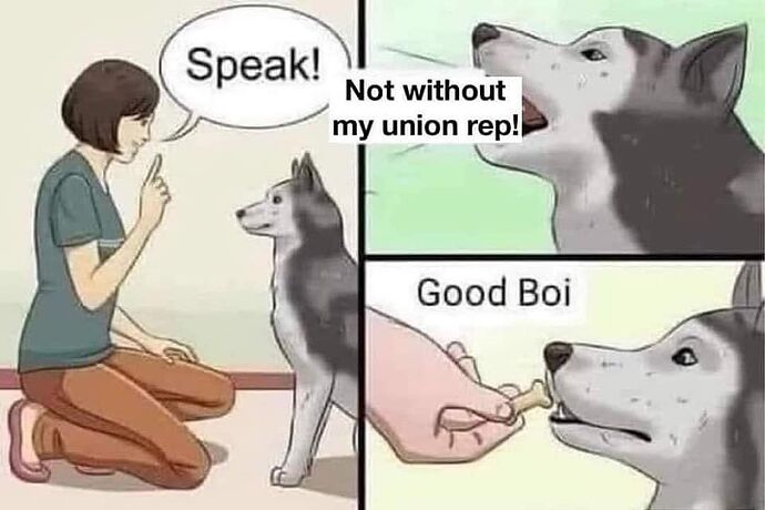 bafkreiayl74hs7zxofj4gptr4foiez2gns5rrsmh4xmicqrq225px5mlvm