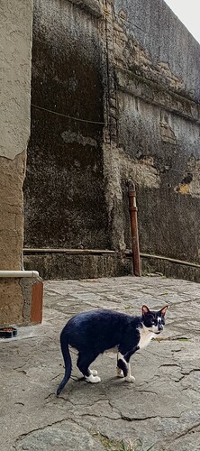 IMG_20250715_101617