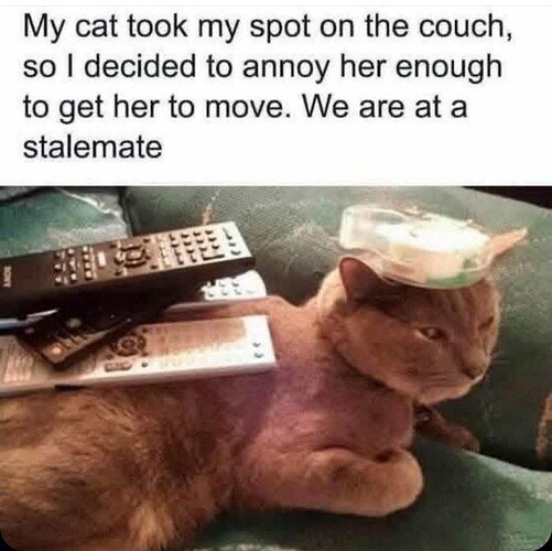 1000048075